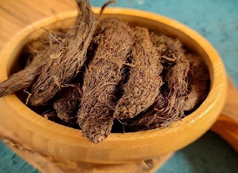 تصویر 1 از خرید و فروش ریشه سنبل الطیب + عمده